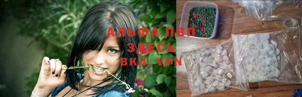 прущая мука Корсаков