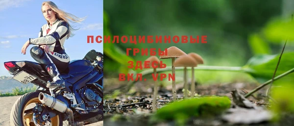 прущая мука Козловка