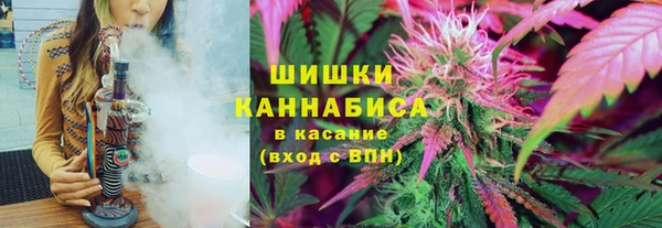 прущие крисы Кодинск