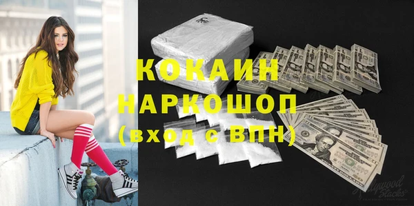 амф Коряжма
